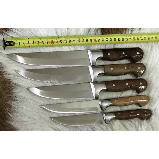 Bıçak Market 5 Li Bıçak Seti